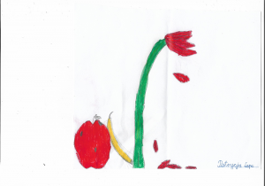 Kompozycja przedstawiająca wazon z tulipanem, jabłko, banan.